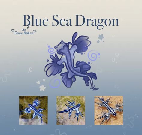 Dragon Blue Aesthetic, Cool Sea Animals, Sea Bunny Art, Nudibranch Drawing, Sea Slug Drawing, Sea Creatures Aesthetic, Sea Creature Oc, Fantasy Sea Creatures, Blue Sea Dragon