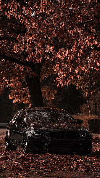 Bmw Photography, Mobile Aesthetic, Bmw Wallpaper, Luxury Bmw, Carros Bmw, Bmw Black, Black Beast, Bmw Performance, Dream Cars Bmw