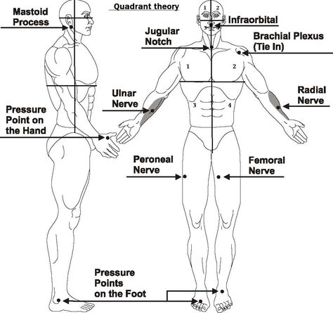 Pressure points (PP) or acupressure points are known by many different names throughout the world, and are predominantly utilised in Chinese medicine and the Five Elements theory (Wu Xing). The Five Elements theory is the concept that each area [...] Body Pressure Points, Krav Maga Self Defense, Defense Techniques, Self Defense Moves, Self Defense Tips, Self Defense Martial Arts, Self Defense Techniques, Pencak Silat, Martial Arts Techniques