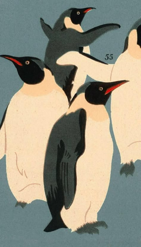 Lockscreen Wallpaper Vintage, Penguin Wallpaper, Penguin Illustration, Album Artwork Cover Art, Penguin Art, Graphic Poster Art, Iphone Wallpaper Themes, Phone Wallpaper Patterns, Lockscreen Wallpaper