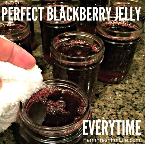 Homemade Blackberry Jelly – Easy Step-by-step Instructions – Farm Fresh For Life – Real Food for Health & Wellness Blackberry Jelly Recipe, Jelly Homemade, Blackberry Dessert Recipes, Blackberry Pie Bars, Blackberry Crisp, Blackberry Dessert, Food For Health, Blackberry Jam Recipes, Blueberry Jelly