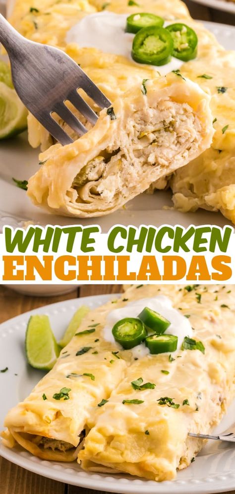 Chicken Enchiladas With Green Sauce Cream Cheese, Cream Cheese Chicken Enchiladas 12 Tomatoes, Chicken And Cheese Enchiladas With Green Chili, Chicken Enchiladas With White Sauce Cream Cheese, Chicken Enchiladas With White Sauce Cream Cheese Green Chilis, Green Cream Cheese Enchiladas, Chicken And Cream Cheese Enchiladas, White Chicken Enchiladas Corn Tortillas, Chicken Enchiladas With Sour Cream White