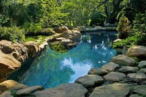 Future Landscape, Ideas De Piscina, Salt Water Pool, Natural Swimming Ponds, Swimming Hole, Mini Pool, Pond Water Features, Swimming Pond, Natural Pond