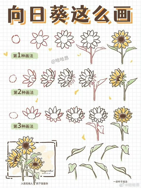 Drawing Plants Step By Step, Anime Flower Drawing, How To Draw Plants Step By Step, Step By Step Sunflower Drawing, How To Draw A Flower Step By Step, Flowers Drawing Step By Step, How To Draw Flowers Step By Step, Flower Drawings Simple, Drawing Flowers Step By Step