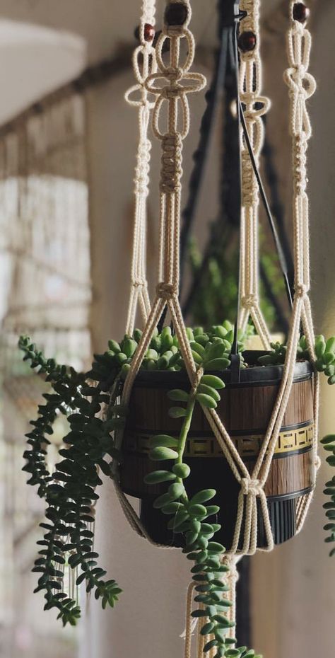 Hanging Plants Macrame, Macromay Plant Hanger, Macrame Plant Hanger Bedroom, Makramee Plant Hanger, Macrame Wall Hanging Plant Holder, Macrame Pot Hanger, Macrame Plant Hanging, Bedroom Macrame, Macrame Home