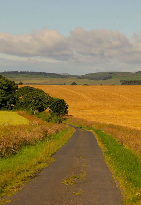 Nature Landscape Pictures, Pictures Landscape, Village Road, Countryside Photography, Farm Village, Landscape Clouds, Art Shed, Road Photography, Landscape Photography Nature