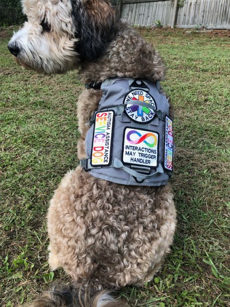 patches from @/cloud_boy_gear on insta ! my pic,, do not repost! Service Dog Art, Service Dog Gear For School, Mah Core, Working Dog Breeds, Golden Retriever Service Dog, Service Dog Gear, Psychiatric Service Dog, Service Dog Patches, Service Dogs Gear