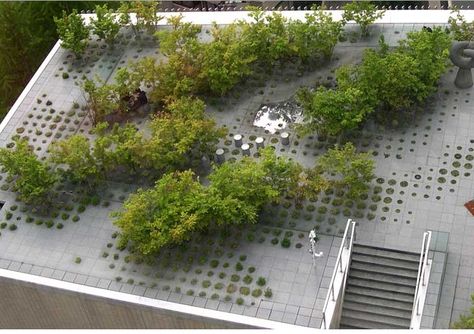 Keio University Roof Garden, Tokyo, Japan by Michel Desvigne Roof Pattern, Keio University, Migrating Birds, Roof Garden Design, Roof Gardens, Green Roofs, Roof Architecture, Landscape And Urbanism, Landscape Architecture Design