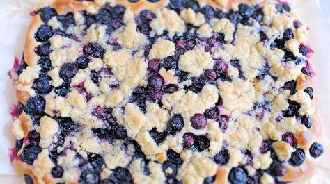 Lemon Blueberry Focaccia, Blueberry Foccacia Bread, Blueberry Foccacia, Blueberry Focaccia, Sourdough 101, Italian Flat Bread, Sourdough Focaccia Recipe, Foccacia Recipe, Foccacia Bread