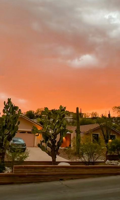 ---- Desert Arizona Southwestern Western Aesthetic Desert Aethestic, American Desert Aesthetic, Orange Desert Aesthetic, Yellow Desert Aesthetic, Desert Sunrise Aesthetic, Desert Arizona, Desert Aesthetic, Western Aesthetic, Sonoran Desert