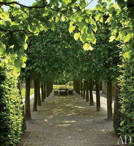 A Heavenly Home and Garden in Belgium | Architectural Digest Shade Tolerant Plants, Longwood Gardens, Green Garden, A Park, Dream Garden, Garden Room, Walkway, Amazing Gardens, Landscape Architecture