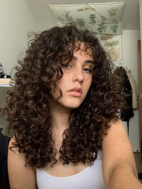 Curly Haircut Reference, Curly Layers With Curtain Bangs, Medium 2c Haircut, Medium Length Haircut For Round Faces Curly Hair, Face Framing Haircut Curly Hair, V Shaped Haircut With Layers Curly Hair, Mid Length 3b Curly Hair, Perms For Shoulder Length Hair, Curly Hair Cuts Mid Length