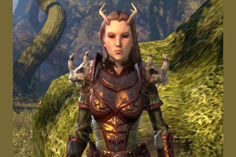 Elder Scrolls Bosmer, Bosmer Aesthetic, Skyrim Wood Elf, Skyrim Bosmer, Elder Scrolls Races, Elf Aesthetic, Wood Elves, European Ancestry, Elder Scrolls Art