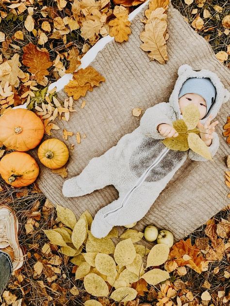 3 Months Fall Pictures, 4 Month Fall Photoshoot, 4 Month Old Fall Photoshoot, Autumn Newborn Photos, Fall Theme Newborn Photo Shoot, Fall Pictures Baby Boy, Fall Baby Monthly Pictures, Babys First Halloween Pictures, Fall Pictures For Babies