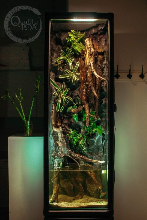 Vivarium Furniture, Vivarium Cabinet, Reptile Paludarium, Paludarium Shelf, Cube Paludarium, Vampire Crab Paludarium, Indoor Aquaponics, Aquarium Garden, Terrarium Kit