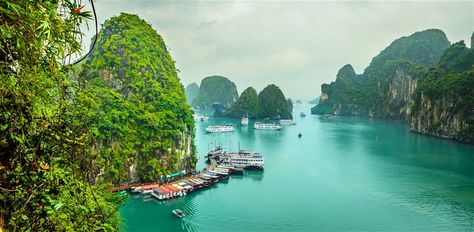 Rugged, craggy and jungle-clad Cat Ba, the largest island in Halong Bay, has experienced a tourism surge in recent years. The central hub of Cat Ba... Cat Ba Island, Island Holidays, Mangrove Forest, Ha Long Bay, Ha Long, Trafalgar Square, Halong Bay, Southeast Asia Travel, Bay View