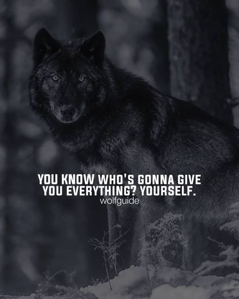 Wolf Motivational Quotes on Instagram: “Follow Us🐺👉@wolfguide👈 Follow Us🐺👈 Follow Us🐺👉@wolfguide👈 Follow Us🐺👈 Follow Us🐺👉@wolfguide👈 Follow Us🐺👈 Follow Us🐺👉@wolfguide👈 Follow…” Wolf Motivation Quotes, Lone Wolf Quotes, Wolf Art Print, Burn Belly Fat Workout, Lion Quotes, Villain Quote, Wolf Quotes, Fat Workout, Wolf Pictures