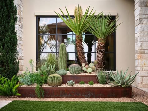 Cacti Garden Outdoor, Desert Home Landscaping Front Yards, Front Yard Cactus Garden, Desert Planting Design, Desert Zen Garden Landscape Design, Jardin Cactus Exterior, Desert Landscaping Backyard, Desert Landscape Design, Front Yard Decor