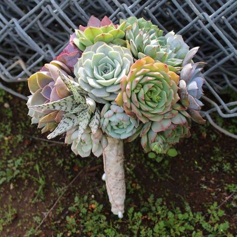 Succulent centerpiece wedding