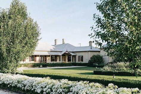 At Regency-era Richmond Hill in Tasmania, a formal lavender garden is just as beautiful as the surrounding landscape that frames it. Star Jasmine Ground Cover, Jasmine Ground Cover, Homestead Homes, Australian Country Houses, Country Style Magazine, Queenslander House, Homestead House, Star Jasmine, Georgian Architecture