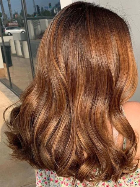 Caramel Chestnut Hair Color, Identify Crisis, Brown Hair Colours, Hair Color Brown Chestnut, Copper Brown Hair, Light Auburn Hair, Chestnut Brown Hair, Brunette Aesthetic, Golden Brown Hair