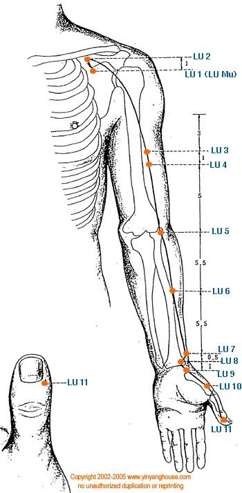 Lung Meridian, Acupuncture Charts, Meridian Acupuncture, Tcm Traditional Chinese Medicine, Polarity Therapy, Magnet Therapy, Reflexology Massage, Shiatsu Massage, Energy Medicine