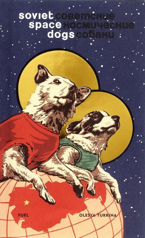 On November 3, 1957, a dog named Laika was launched into space on the Sputnik 2, as part of the Soviet space program. She had not always been known as Laika; the scientists that found her on the street had given her the name. Soviet Space Dogs, Belka And Strelka, Laika Dog, Space Dogs, Camera Vintage, Space Dog, Soviet Art, Homeless Dogs, Space Race