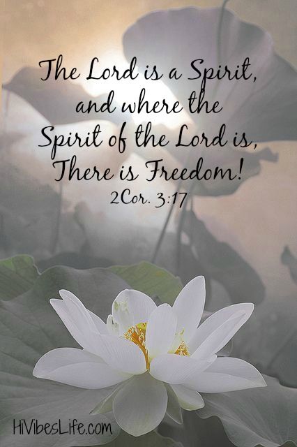 "The Lord is a Spirit, and where the Spirit of the Lord is, there is FREEDOM!" Spirit Of The Living God, Bible Quotations, Godly Living, Christ Artwork, Bible Truths, Spirit Of Truth, Freedom Quotes, Bible Words Images, Jesus Christ Artwork