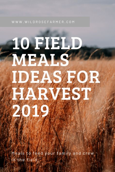 10 Field Meals Ideas for Harvest 2019 Harvest Dinner Ideas, Farm Meals, 2023 Meals, Chicken Bacon Ranch Sandwich, Field Meals, Meal Train Recipes, Meals Ideas, Farm Wife, Work Meals