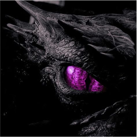 Smaug Dragon, Dragon Eye Drawing, Purple Butterfly Tattoo, Eyes Artwork, Purple Dragon, Water Dragon, Beautiful Dragon, Cute Fantasy Creatures, Dragon Pictures