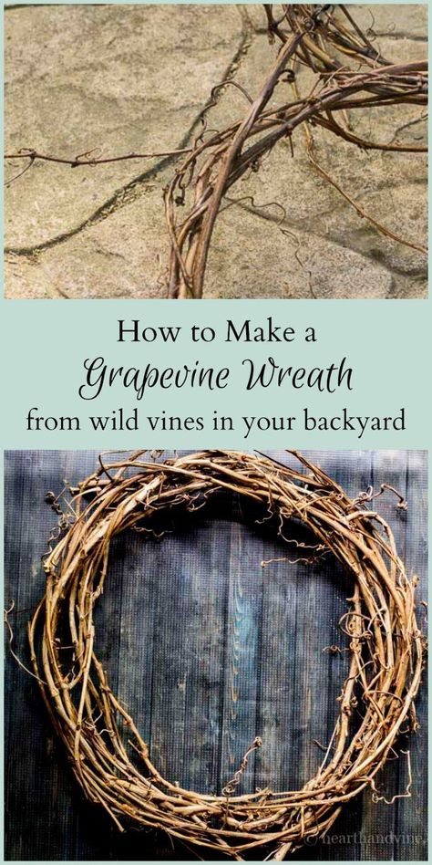 Instead of throwing them in the trash or compost, use invasive vines to make a wild grapevine wreath for your home decor. Grape Vine Art Ideas, Grapevine Baskets Diy, Invasive Vines, Grapevine Wreath Ideas, Takken Decor, Diy Grapevine Wreath, Decorating Crafts, Vine Wreath, Garden Vines