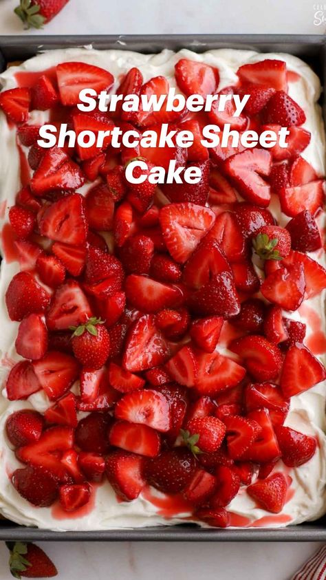 https://celebratingsweets.com/strawberry-shortcake-sheet-cake/ Strawberry Shortcake Sheet Cake, Shortcake Sheet Cake, Strawberry Sheet Cakes, Cupcake Frosting Recipes, Vanilla Sheet Cakes, Fresh Strawberry Recipes, Short Cake, Strawberry Dessert Recipes, Strawberry Cake Recipes