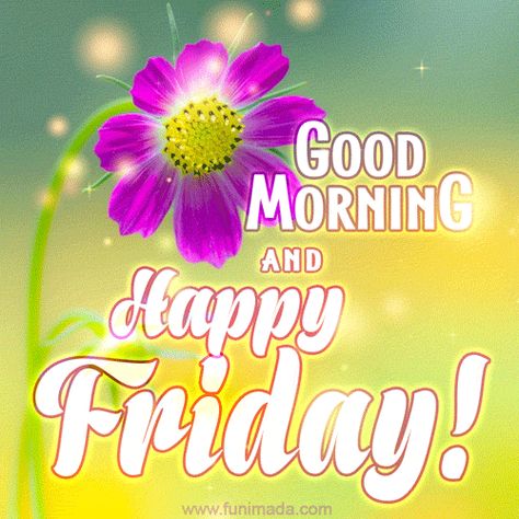 Happy Friday Gifs, Friday Good Morning Images, Gm Friday, Snoopy Good Morning, Happy Friday Gif, Friday Good Morning, Friday Gif, Friday Greetings, Good Morning Gif Images