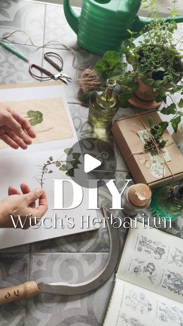 Herbarium Book Ideas, Herbarium File, Herbarium Aesthetic, Herbarium Diy, Diy Notebook, Nature Journal, May 20, School Projects, Tell Me