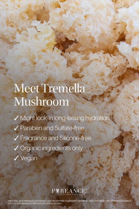 Discover the wonders of Tremella Mushroom! This incredible fungi might lock in long-lasting hydration, keeping skin plump and moisturized. With no parabens, sulfates, fragrances, or silicones, Tremella Mushroom is a vegan, organic ingredient that could be perfect for clean beauty routines. #pureance #menopauseskincare #organicskincareproducts #perimenopause #iampureance #agelessbeauty #skinenergy #proaging #skinandenergy Tremella Mushroom, Organic Skin Care Brands, Ageless Beauty, Organic Skincare, Luxury Skincare, Clean Beauty, Organic Ingredients, Organic Skin Care, Beauty Routines