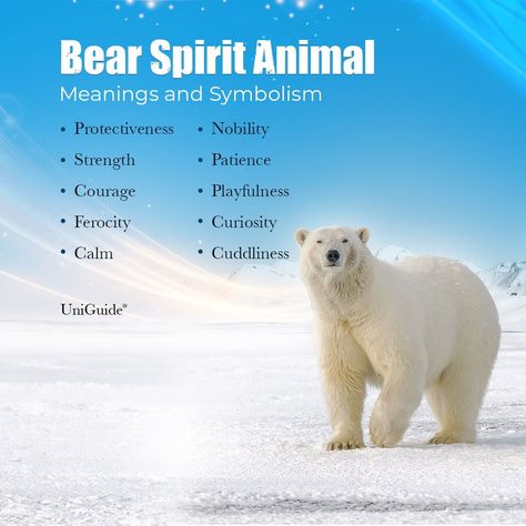 Learn about the bear power animal on UniGuide.  #bears #bear #bearclan #totem #beartotem  #bearclan #bearpeople  #beardreams #bearclub #Bearpower  #bearmedicine #poweranimal #animaltotem #animaltotems #spiritanimal #spiritanimals #visionquest Polar Bear Spirit Animal, Polar Bear Spirit Animal Meaning, Bear Spiritual Meaning, Bear Symbolism, Bear Meaning, Asian Black Bear, Bear Spirit Animal, Symbolism Meaning, Bear Spirit