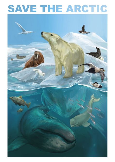 My contribution for Save the Arctic-competition. Check out my page for more illustrations Save The Polar Bears, Save The Arctic, School Painting, Arctic Animals, Polar Bears, Good Cause, Nature Illustration, Sea World, Birds Eye