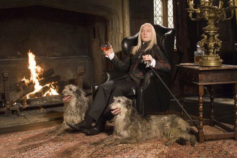 Harry Potter Malfoy Manor, Jason Isaacs, Male Reference, Lucius Malfoy, Bellatrix Lestrange, Lord Voldemort, Harry Potter Films, Harry Potter Love, Alan Rickman