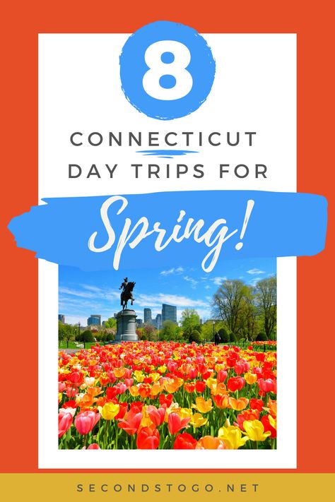 If you have only one day to spend in Connecticut this spring, you can't go wrong with one of these 8 day trips easily accessible from Connecticut. New England Day Trips, Ogunquit Maine, Land Trust, Spring Weather, New England Travel, Visiting England, Deep Sea Fishing, England Travel, Spring Day