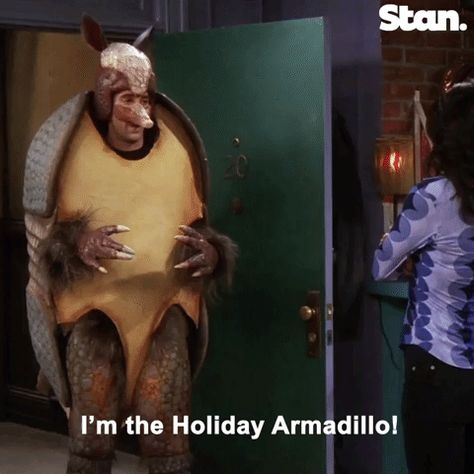 Holiday Armadillo, Friends Collage, Friends Episodes, Christmas Friends, Ross Geller, Friends Tv Series, Friends Moments, Friends Funny Moments, Friends Series