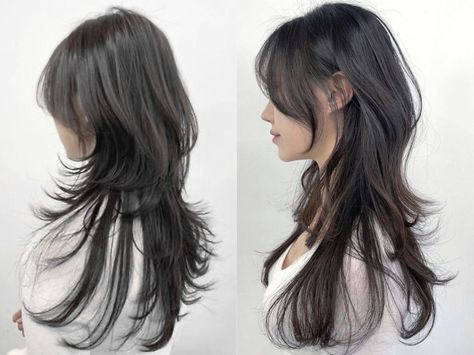 Wolfcut Hair Long Reference, Jelly Fish Haircut Long Korean, Jelly Fish Cut Long, Hush Cut Back View, Jellyfish Haircut Long Straight, Jellyfish Wolf Cut Hair, Hush Cut Long Hair Straight, Long Hush Cut Straight Hair, Long Hair Jellyfish Haircut