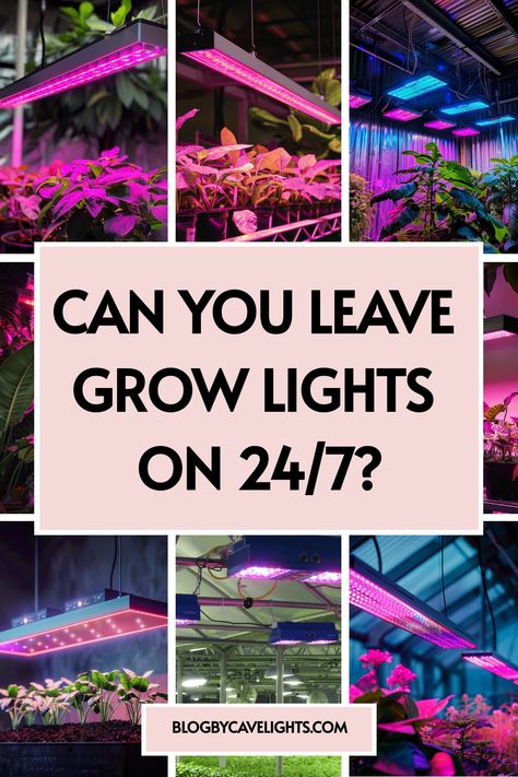 🌱 Is it a smart move to keep your grow lights on 24 hours a day? Find out in our detailed plant lighting ideas article and learn how to achieve the perfect grow light set up for your indoor space. Click to read and enhance your indoor plant grow lighting! 🌟📖 Hanging Grow Lights Indoor, Plant Lighting Ideas, Indoor Grow Light Ideas, Indoor Grow Lights, Survival Stuff, Indoor Greenhouse, Plant Light, Grow Lights For Plants, Cactus Succulents