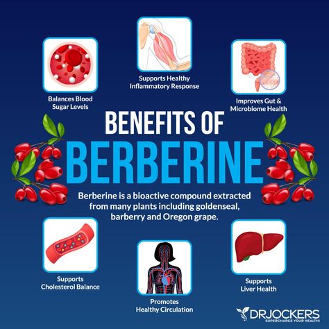 Berberine: Powerful Benefits for Blood Sugar and Fat Burning Benefits Of Berberine, Berberine Benefits, Balance Blood Sugar, Candida Albicans, Nutritional Therapy, Keto Supplements, Sugar Level, Healthy Blood Sugar Levels, Blood Glucose Levels