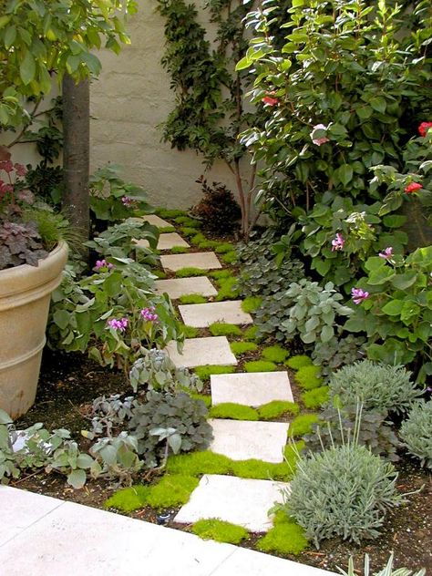 Small Garden With Stones, Flower Beds Ideas, Side Yard Garden, Pathway Design, Front Yard Flower Beds, Front Yard Walkway, Yard Walkway, Beds Ideas, Garden Pathways