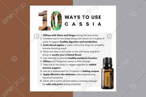 Cassia Oil Benefits, Cassia Diffuser Blends Doterra, Doterra Cassia, Digize Essential Oil How To Use, Copaiba Softgels Doterra, Ceaderwood Essential Oil Benefits, Cassia Essential Oil, Essential Oils Guide, Lemon Oil