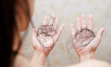 Hair Falling, Peeling Facial, Hair Clinic, Hair Control, Alyssa Milano, Anime Hair, Hair Transplant, Hair Strand, Roots Hair