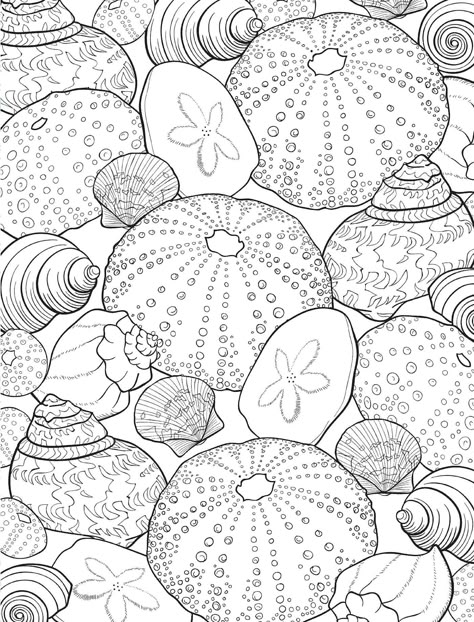 Sealife Coloring Pages, Shells Coloring Pages, Coloring Pages For Adults Aesthetic, Shell Coloring Pages, Ocean Themed Coloring Pages, Coloring Pages Ocean, Coastal Coloring Pages, Beach Doodles, Pottery Templates