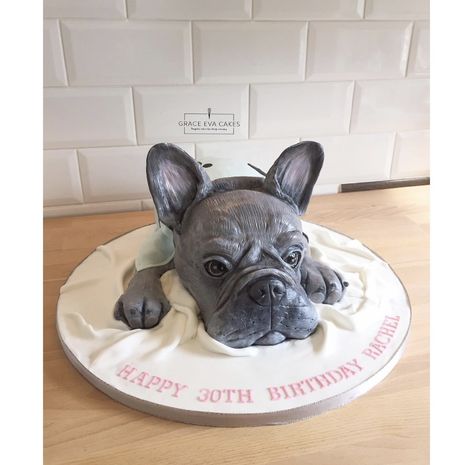 Frenchie Cake Ideas, Frenchie Cake, French Bulldog Cake, Bulldog Cake, Celebration Cakes, Cake Ideas, French Bulldog, Birthday Parties, Bulldog