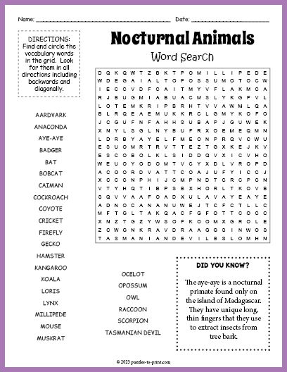 Free Printable Nocturnal Animals Word Search Mythical Creatures Worksheet, Diurnal And Nocturnal Animals, Domestic And Wild Animals Worksheets, Insect Word Search, Nocturnal Animals Activities, Wild Animals Word Search, Amazon Rainforest Animals, Fall Word Search, Word Search Puzzles Printables