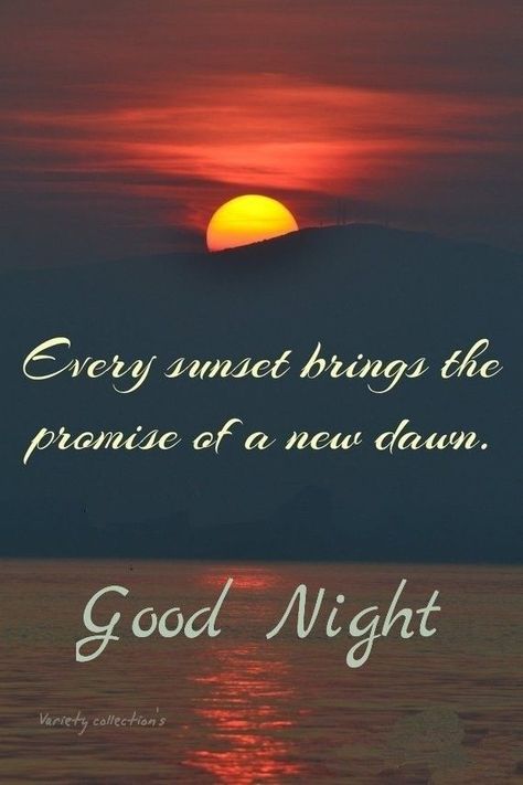 Nighty Night Quotes, Good Night Meme, Beautiful Good Night Messages, Love Good Night, Goodnight Images, Quotes Sweet, Good Night Love Pictures, Sweet Dreams My Love, Good Night Qoutes